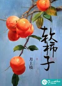 软柿子封面