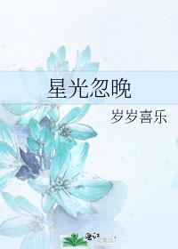 星光忽晚封面