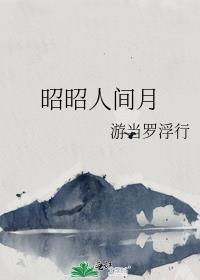 昭昭人间月封面
