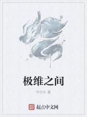 极维之间封面