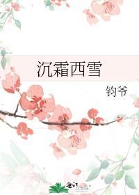 沈霜西雪封面