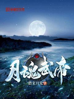 月魂武帝封面