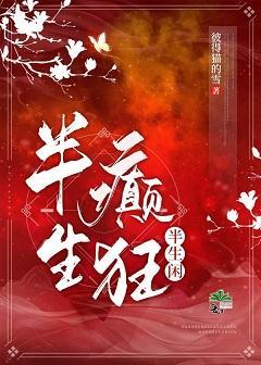 半生癫狂半生闲封面