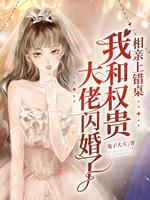 相亲上错桌，我和权贵大佬闪婚了封面