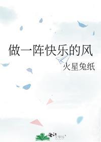 做一阵快乐的风封面