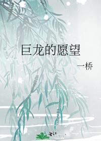 巨龙的愿望封面