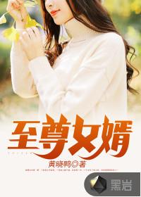 至尊女婿封面