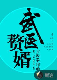 武医赘婿封面