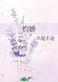 灼娇封面