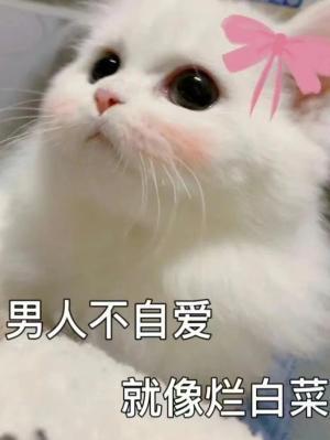 滚烫热泪封面