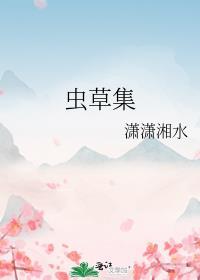 虫草集封面