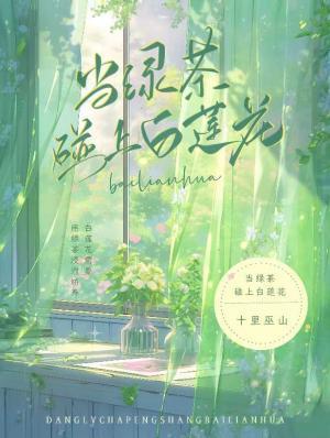 当绿茶碰上白莲花封面