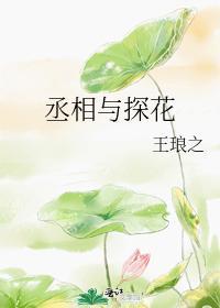 丞相与探花封面