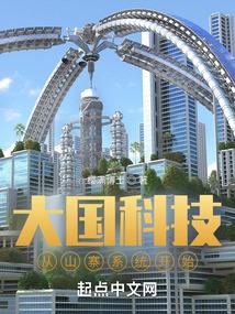 大国科技从山寨开始封面