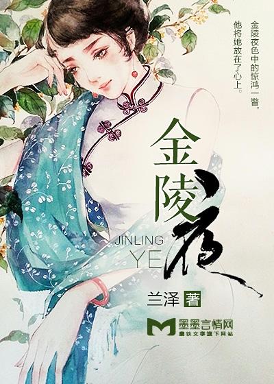 金陵夜封面