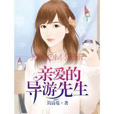 亲爱的导游先生封面
