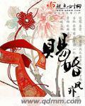 赐婚封面