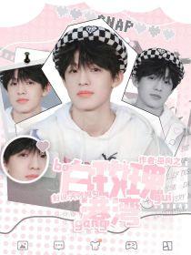 张泽禹：白玫瑰港湾封面