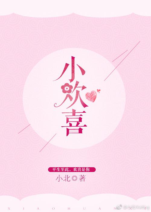小欢喜封面