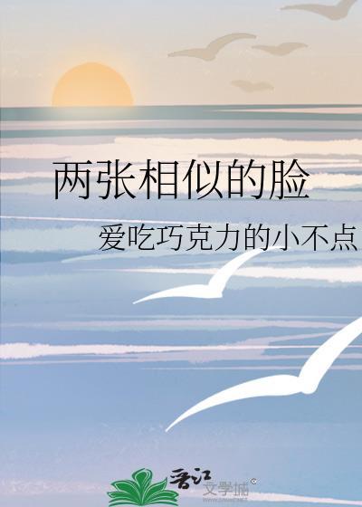 两张相似的脸封面