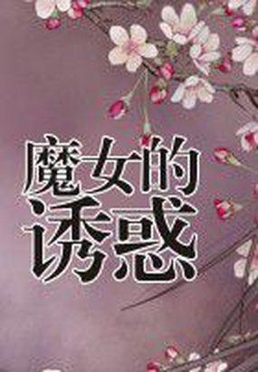魔女的诱惑封面