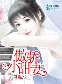 云泥之别封面