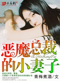 恶魔总裁的小妻子封面