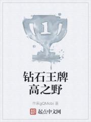 钻石王牌高之野封面