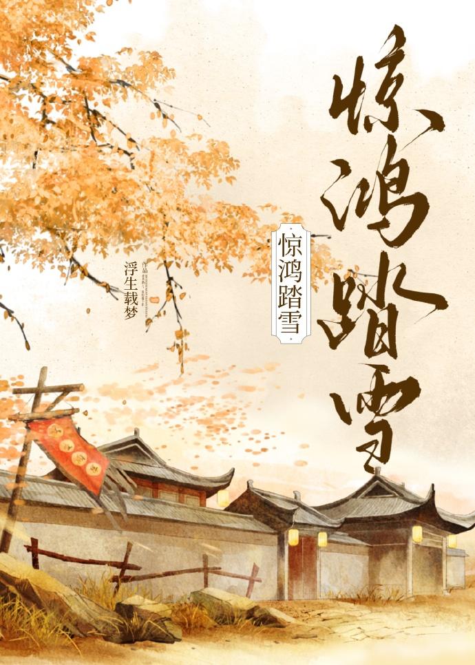 惊鸿踏雪封面
