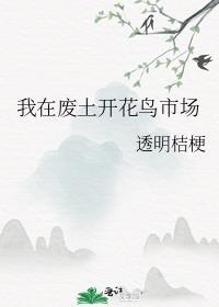 我在废土开花鸟市场封面