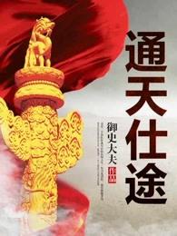 通天仕途封面