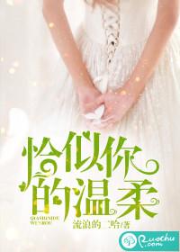 恰似你的温柔封面