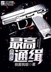都市之最高通缉封面