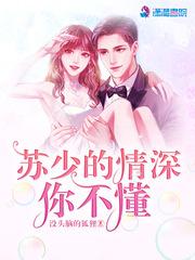 苏少的情深你不懂封面