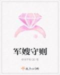 军嫂守则封面