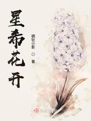星希花开封面