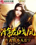 游龙戏凤封面