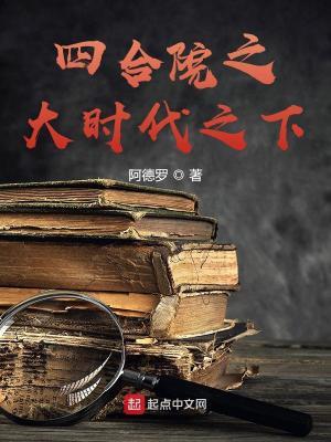 四合院之大时代之下封面