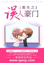 海贼王之征战天下封面