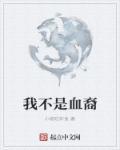 我不是血裔封面