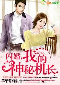闪婚,我的神秘机长封面