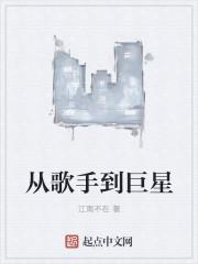 从卖唱歌手到巨星封面