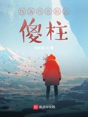 情满四合院之傻柱封面