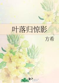 叶落归惊影封面