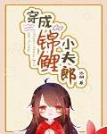 穿成锦鲤小夫郎封面