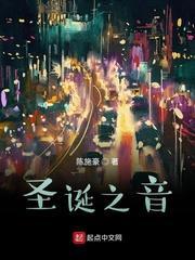 圣诞之音封面