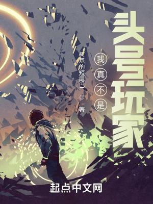我真不是头号玩家封面