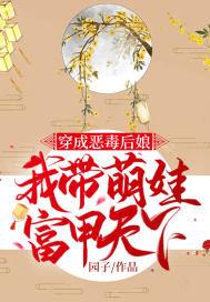 穿成恶毒后娘,我带萌娃富甲天下封面