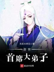 剑宗首席大弟子封面