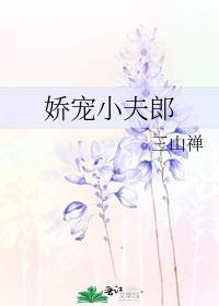 娇宠小夫郎封面